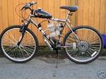 1116313811_mopedmotor1